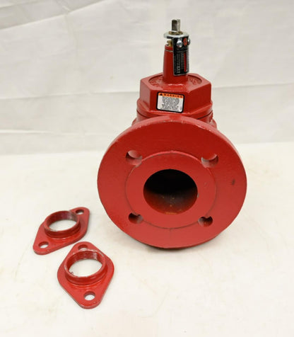 Bell & Gossett 132131 (3D-2S) Flanged Triple Duty Valve